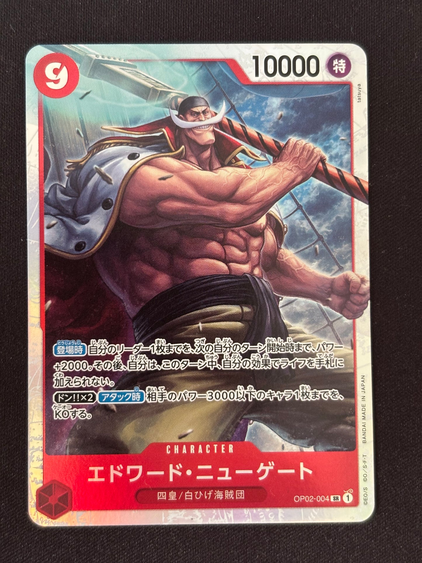 Barbe Blanche SR OP02-004