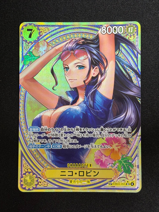Robin SP EB03-055 (état excellent)